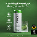 Core Hydration Drink - Citrus
